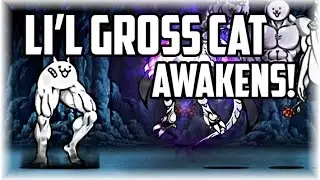 The Battle Cats | The Battle Cats | Li'l Gross (Leg) Cat Awakens! (Tiny Creeper)