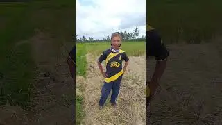 angon bebek