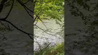Маршрут номер 8, река Лаба 