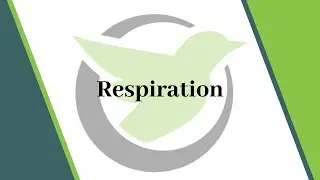 Washington Nurse Aide Skill #7: Count and Records Respirations