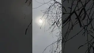 Не грусти…