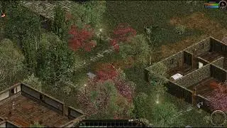 Colosseum T4C - New Zoom feature!