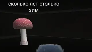 еду за грибом через много лет в RRO