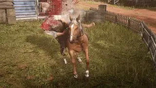 Red Dead Redemption 2 - Shotgun Kills - Explosions - Brutal and Funny moments  - Ragdoll Physics