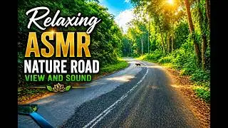 Relaxing ASMR NAture Road and Sound that refresh your mind