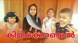 കിളിക്കൊഞ്ചൽ VLOG |FUNNY VLOG MALAYALAM |#treanding #vlog #trending #kilikkonjal #malayalamvlog