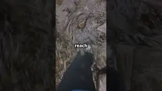 Rattlesnakes: Nature's Silent Killers! 🐍
