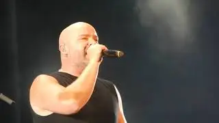 Disturbed: Stupify (Rockfest 2019) Live