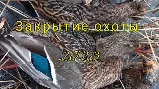 ОХОТА НА УТКУ  С АТА НЕО 12. ЗАКРЫТИЕ 2023