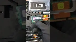 Cool ram with rare bus
