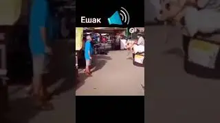 😃😀😂😂😂😂😂 horse