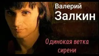 Одинокая ветка сирени