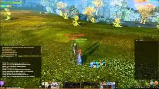 Archeage | Trolling in Golden Ruins