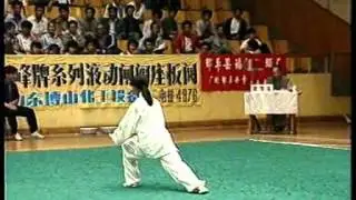 1989年全国武术套路锦标赛 女子太极拳 005 梁小葵（广西）