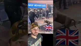 ABSURDO OQ ESTÃO FZD COM OS AMERICAN BULLYS NO REINO UNIDO