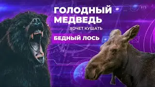 Медведь хотел задрать лося... ЧТО ВЫШЛО?