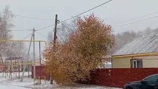 Падает снег
