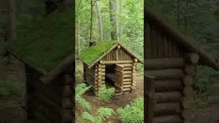 Log Cabin in the Woods. Rain. Wood Stove