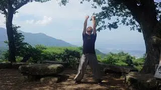 F i v e A n i m a l Q i g o n g - Chen Taiji Bern - Taiji | Qigong | Kungfu