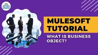 Blue prism Tutorial What is Business Object?