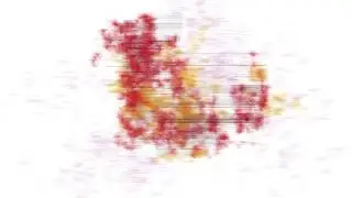 IPgenerB1