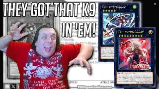 RANK 5s AND FURRIES: A MOST DANGEROUS COMBINATION [ New Card Blind Reaction ] [ K9 ]
