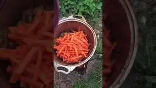 Плов с грибами