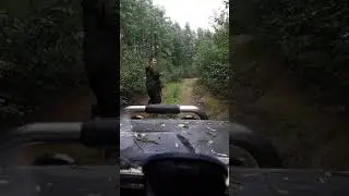 Нива -танк