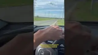 Ауди. Бмв. Мерседес. Что выберешь ты?