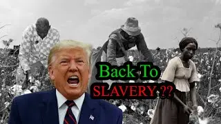 If Donald Trump wins the election are Black people going to back to Slavery ?