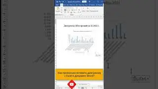 📈How to insert a chart from an Excel spreadsheet into Word? 