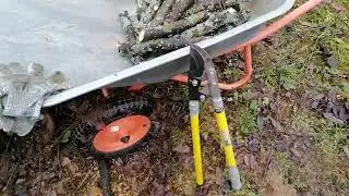 Русский сучкорез.