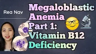 Megaloblastic Anemia Part 1: Vitamin B12 Deficiency