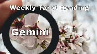 ♊ #Gemini | Nothing compares.  Let them come to you | weekly tarot 📚 | May 17-23