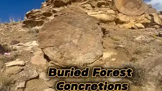 Hidden gem: Buried Forest sphere in Utah