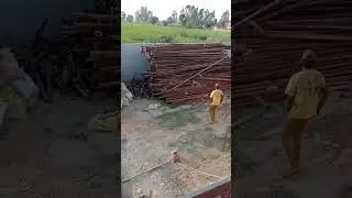 sumerseabl screap 