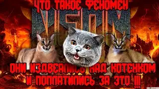 Интернет легенды #5: Что такое феномен NEDM ?