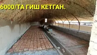 УЗУНЛИГИ 35 МЕТР,ЕНИ 6 МЕТИР БУЗОКЛАРГА ЖОЙ .
