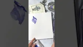 Watercolor irises , 15 min sketch