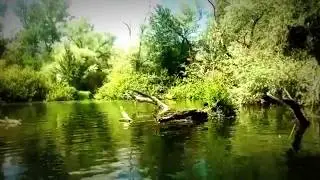 The Reserve Part 2
