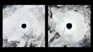 Arctic || Antarctic Sea Ice 2009-2018