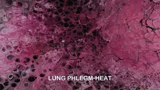 PHLEGM HEAT IN THE LUNG