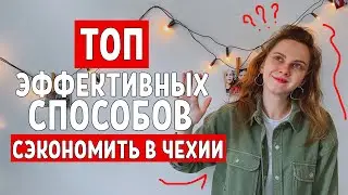 КАК ЭКОНОМИТЬ В ЧЕХИИ - Иммиграция в Чехию / работа в Чехии 2021 реалии /