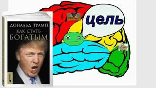 Анатомия: Нервная система 4: Основы памяти