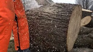 #4 Stihl MS 261 and YardMax 25 Ton against very large Maple rounds