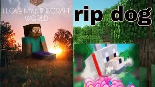MINE CRAFT DOG RIP ENTITY 😢😢