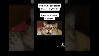 Родители:Работают 24/7 и не устают: