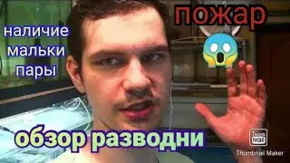 ЧП на разводне. Пожар. Обзор наличия рыбок и нерестов