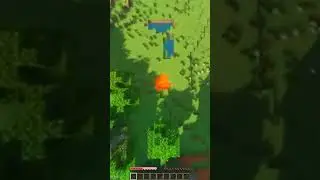 #minecraft #майнкрафт #minecraftприколы #shorts #fyp #а4 #тиктокиграет