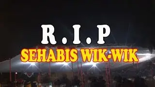 BULE Habis Wik-Wik Mati Mendadak dalam keadaan Hamil Tua | Lele Babon Albino mati mendadak
